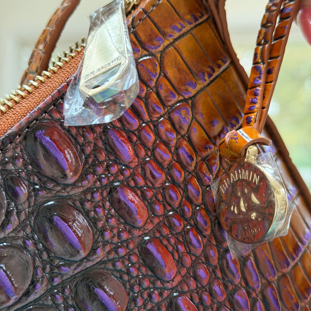 Brahmin Crown Ombré Katie Leather Crossbody NWT - Picture 8 of 9